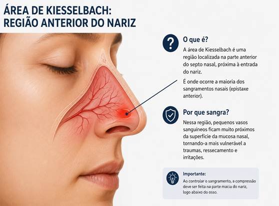 Ilustração da área de Kiesselbach na região anterior do septo nasal