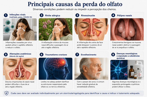 Infográfico com as principais causas da perda do olfato, incluindo infecções virais, rinite alérgica, rinossinusite, pólipos nasais, desvio de septo, traumatismo craniano, envelhecimento e doenças neurológicas.