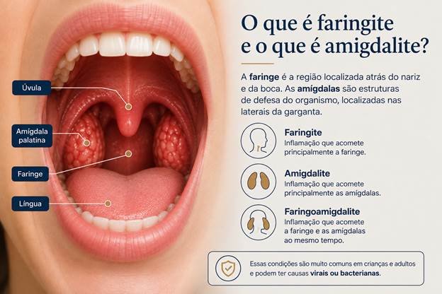 Amígdalas palatinas e sua função no sistema imunológico